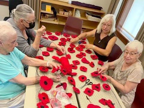Community knitting group to bring back ‘Poppy Project’ post image