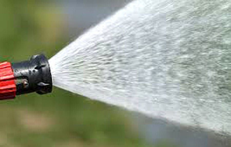 With water restrictions in effect, how can I keep my plants alive? post image