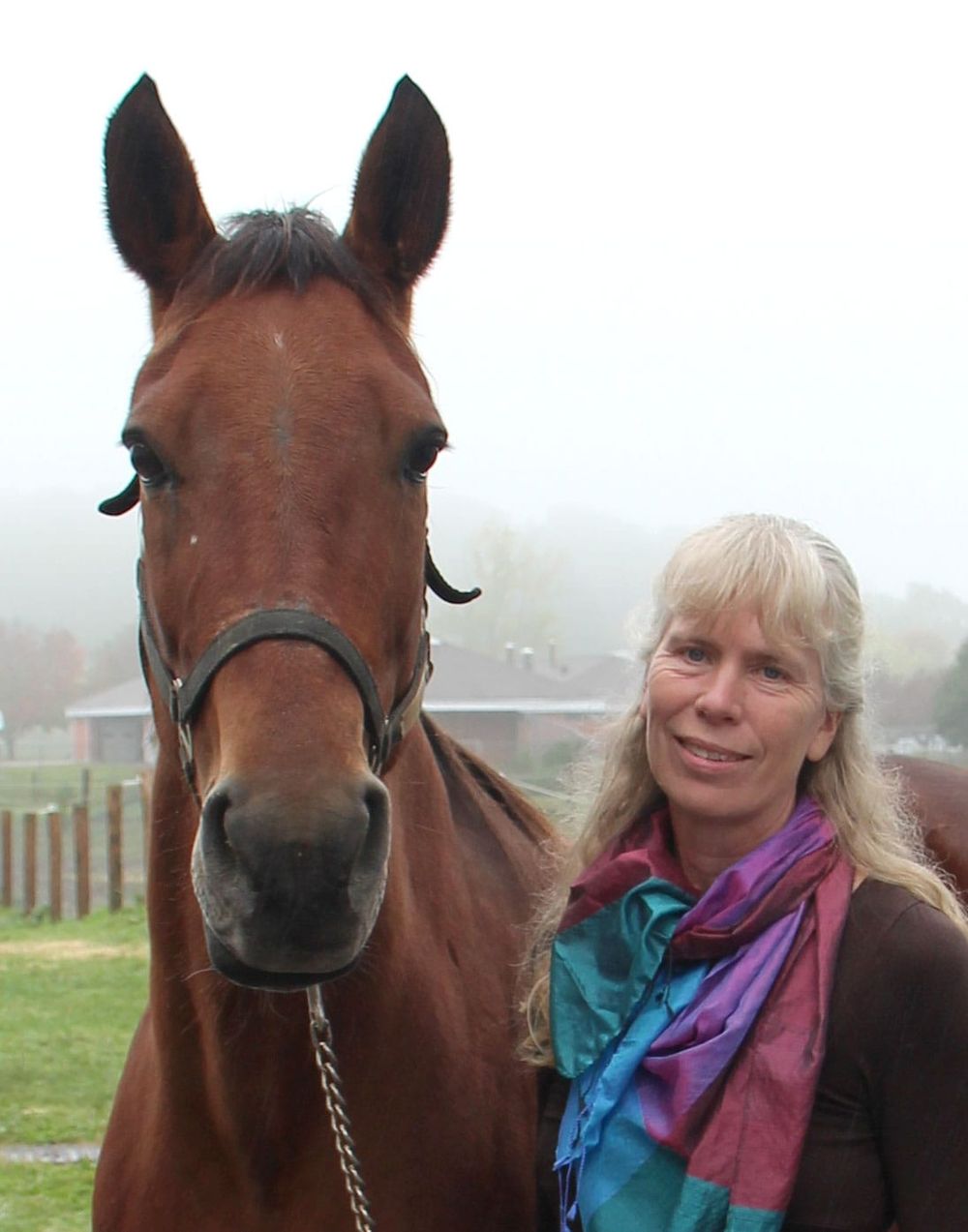 What’s in a whinny? According to an Equine Guelph study, a whinny speaks volumes post image