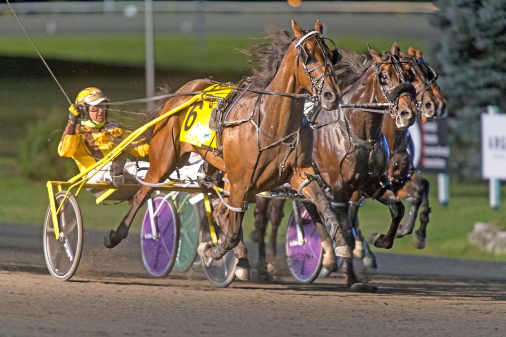 Trevor Henry Day at Hanover Raceway, With Special Guest Desperate Man post image