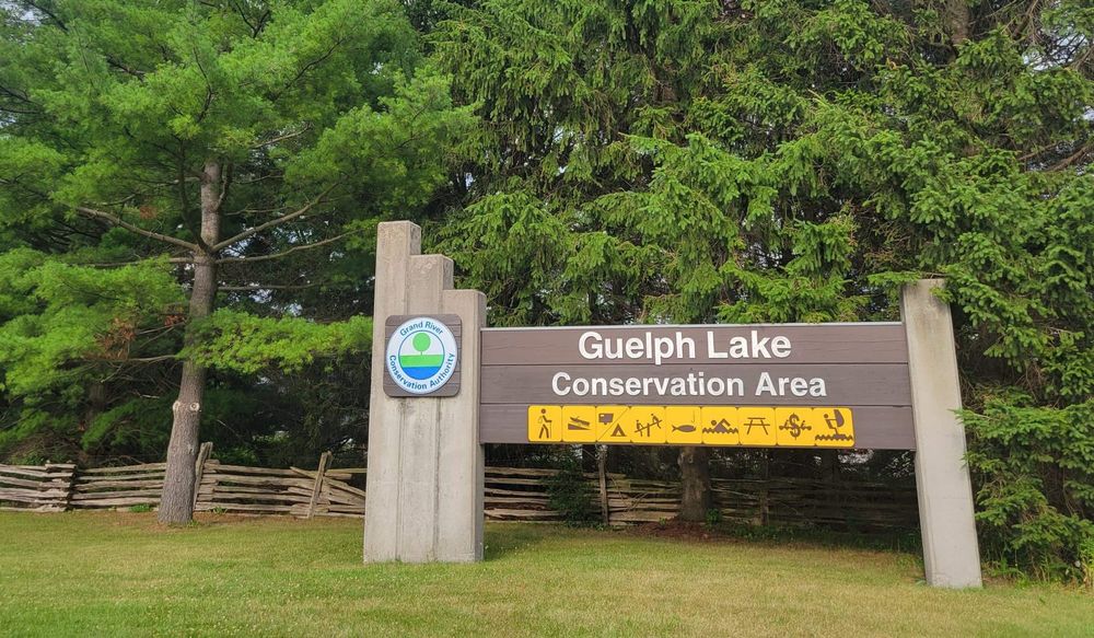 'Swimmer in distress' dies at Guelph Lake post image