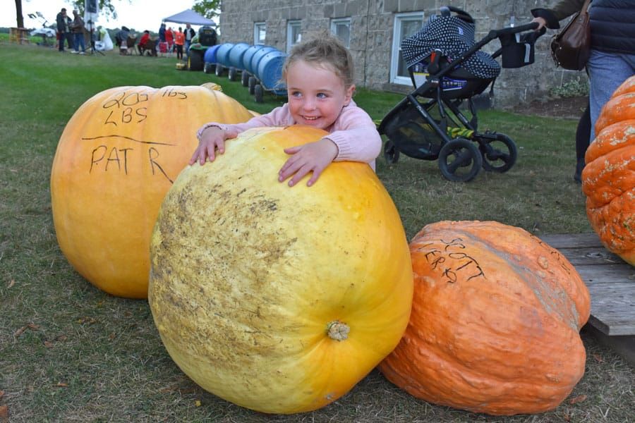 Metz Pumpkinfest a fun event for all post image