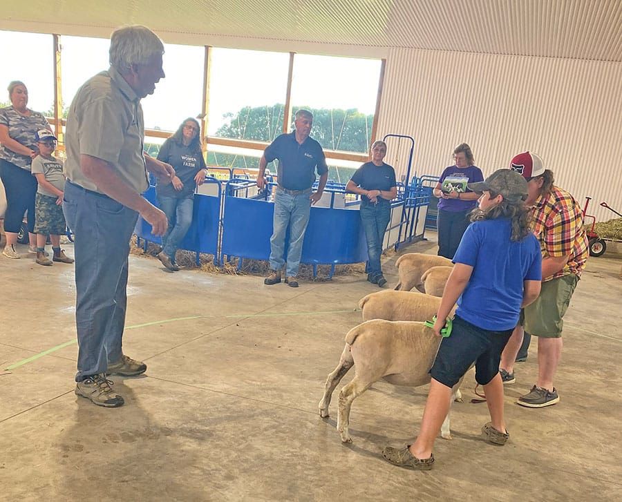 Floradale 4H Sheep Club members learn about showing livestock post image
