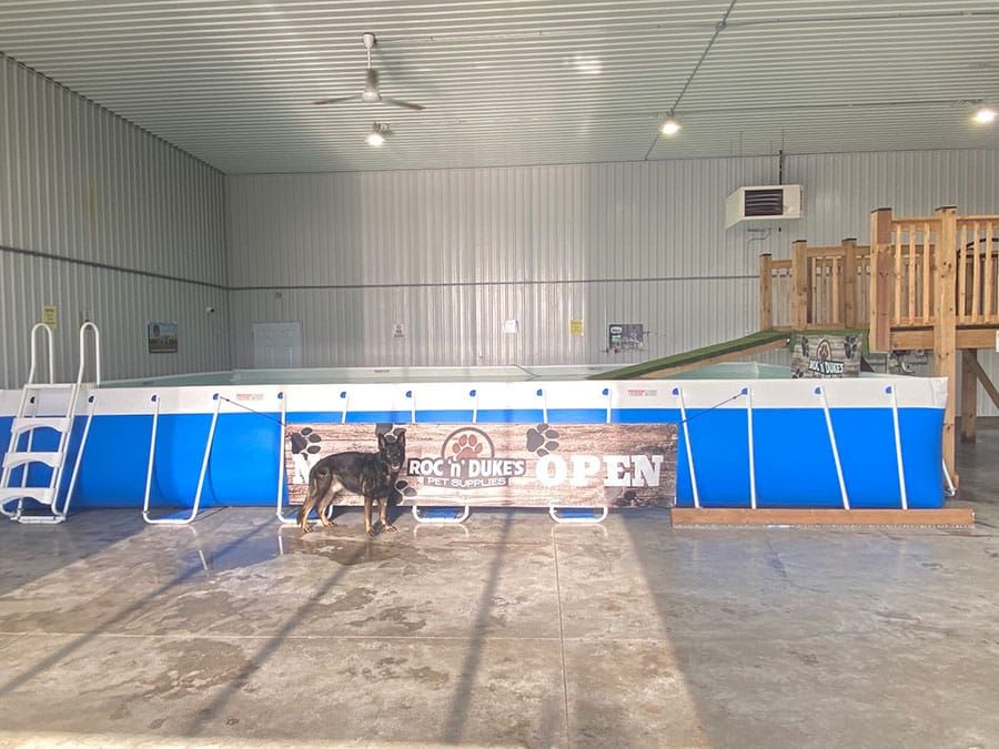 New training, dock diving aquatic centre making a splash with dogs in Mount Forest post image