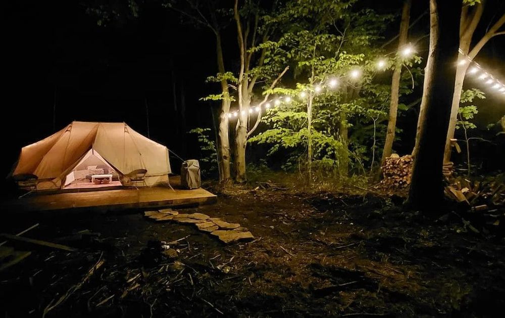 Wellington County examines diversifying farm land uses post image