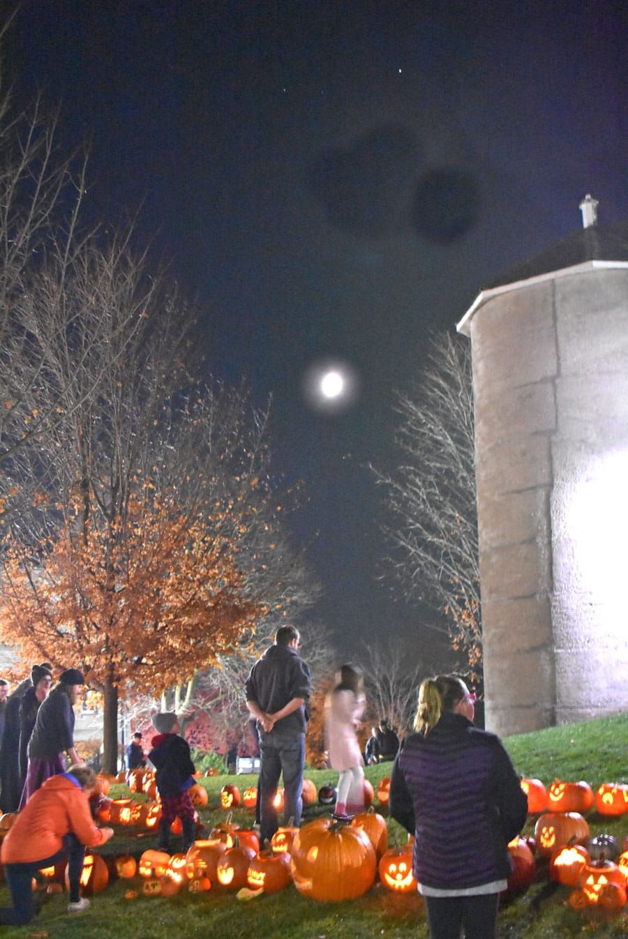 Wellington County Museum hosted annual Pumpkin Walk post image