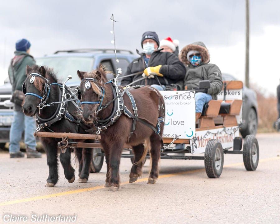 No motors, more magic at Santa parade in Holstein post image