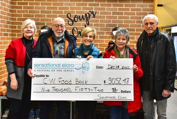 Sensational Elora seeking new board, committee members post image