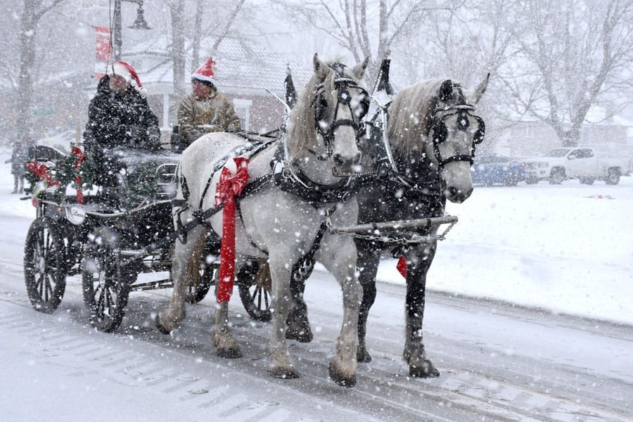 Peace on Earth theme of Alma Santa parade post image