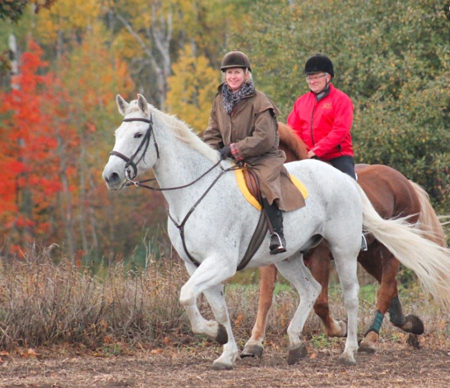 Hooves for Hospice raises $10,000 for Hospice Wellington post image