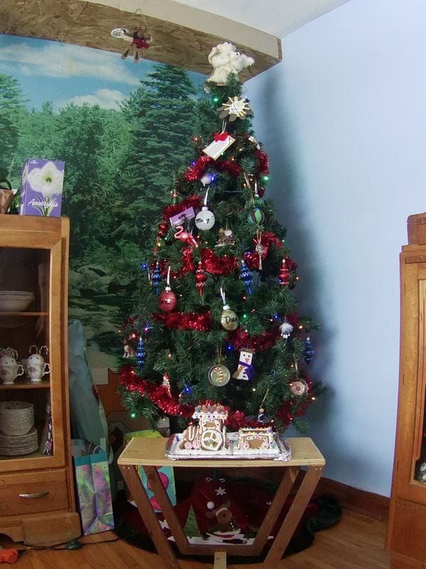 Christmas Photo Contest winner announced post image