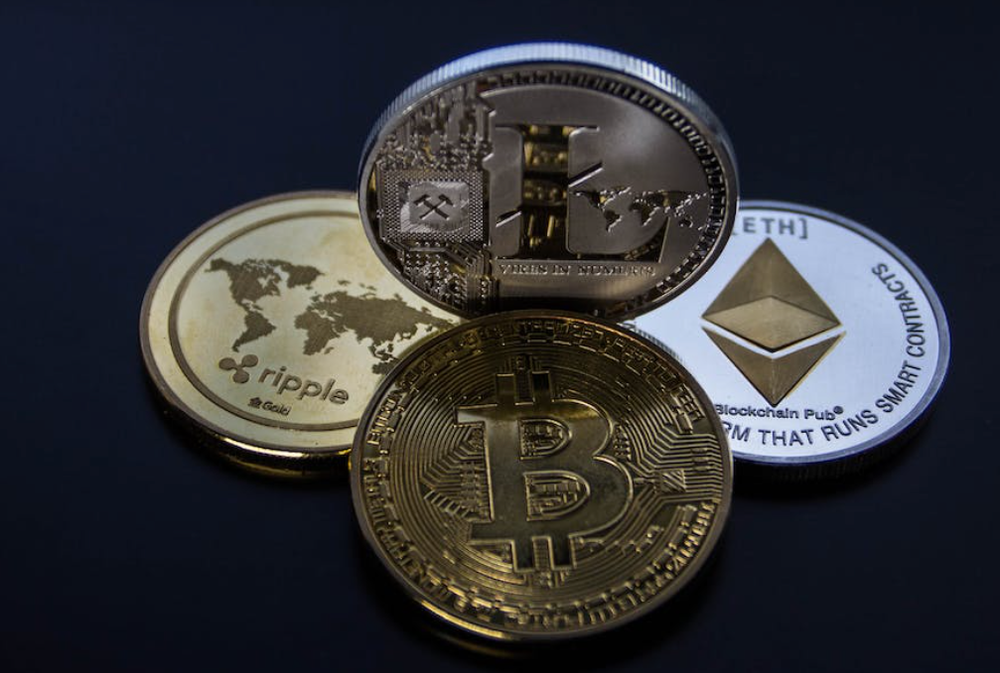 Wellington North resident bilked of $500,000 in cryptocurrency scam post image