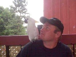 WILSON, Steven post image