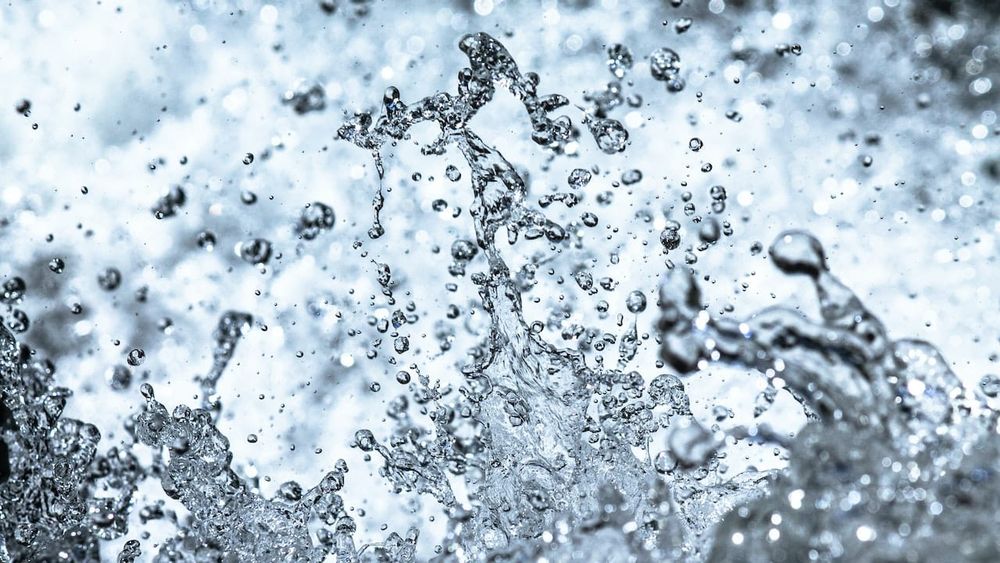 Source water risk management plans being negotiated in Wellington North past deadline post image