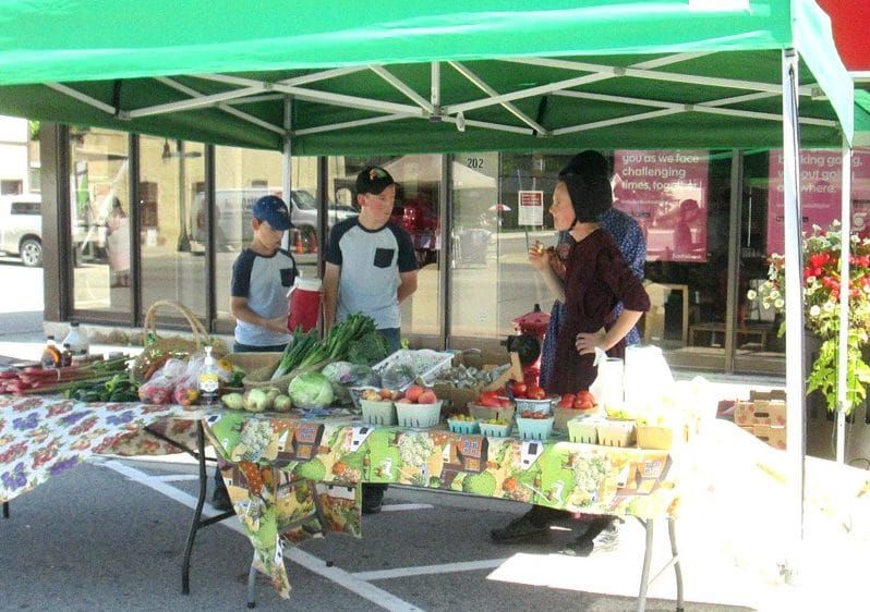 Wellington North Farmers’ Market returning for 10th year this summer post image