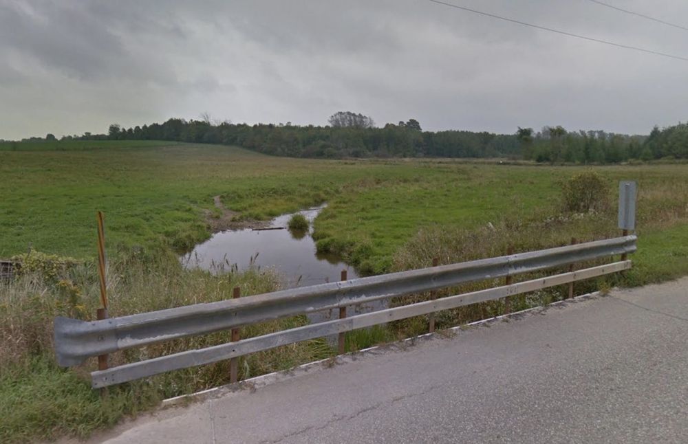 Wellington North dairy farm fined $62,505 for manure leak post image