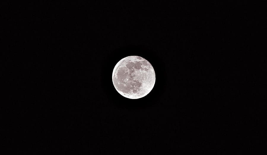 April's full "pink Moon" post image