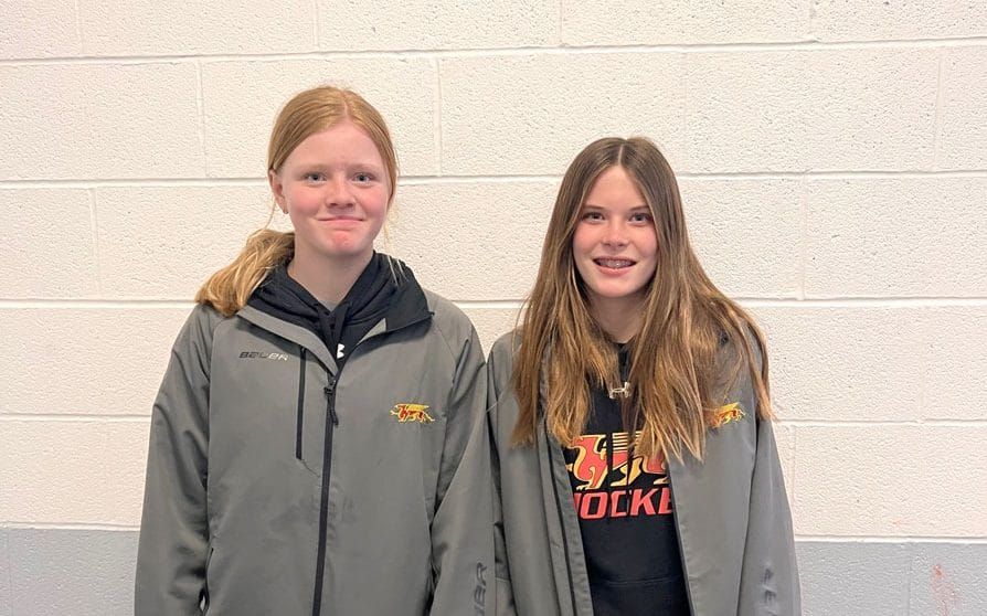 She shoots, she scores: women’s hockey has come a long way in 30 years post image