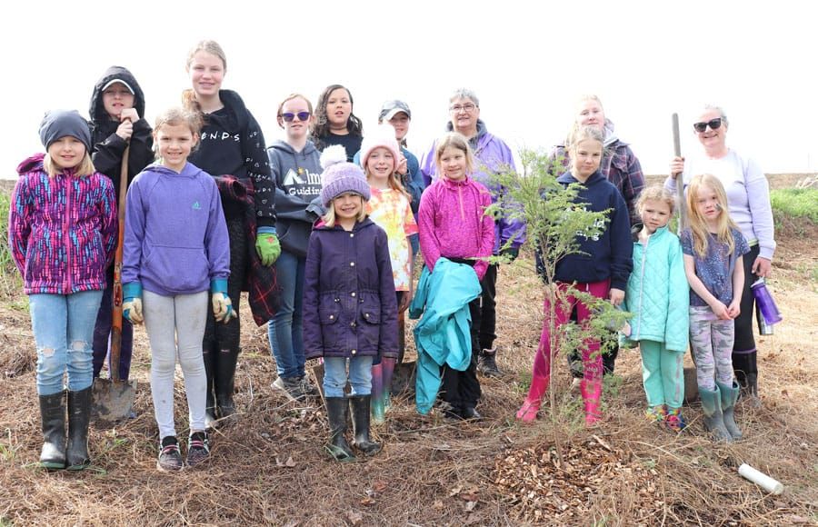 Coronation Planting of 65 native trees in honour of King Charles III in Drayton post image