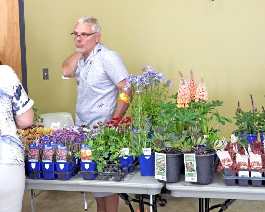 Mount Forest Horticultural Society's first flower show of the season post image