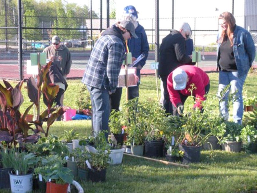 Fergus Hort seeks plants and muscle for Best Bloom’n Plant Sale on May 27 post image