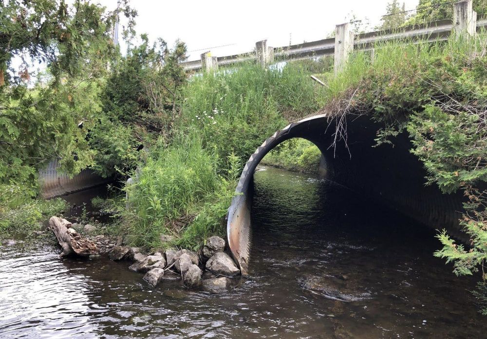 Replacement of Erin culvert with bridge pushes project $1.29 million over budget post image