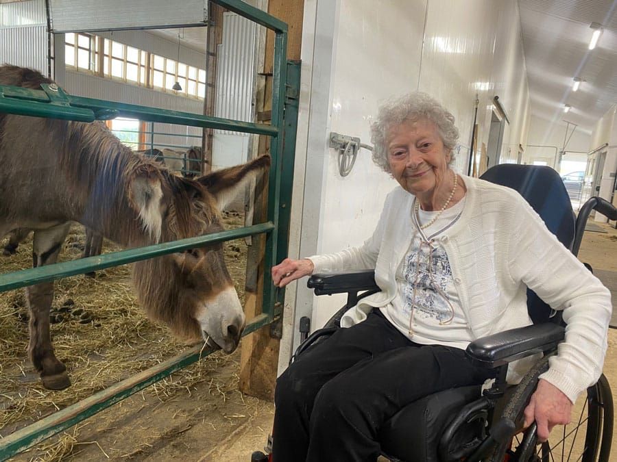 Mitchell enjoys 100th birthday at Donkey Sanctuary post image