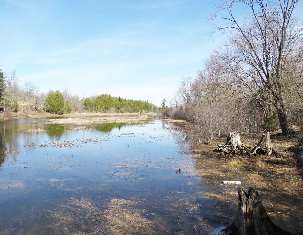 Eden Mills Mill Pond lands donated to Rare Charitable Research Reserve post image