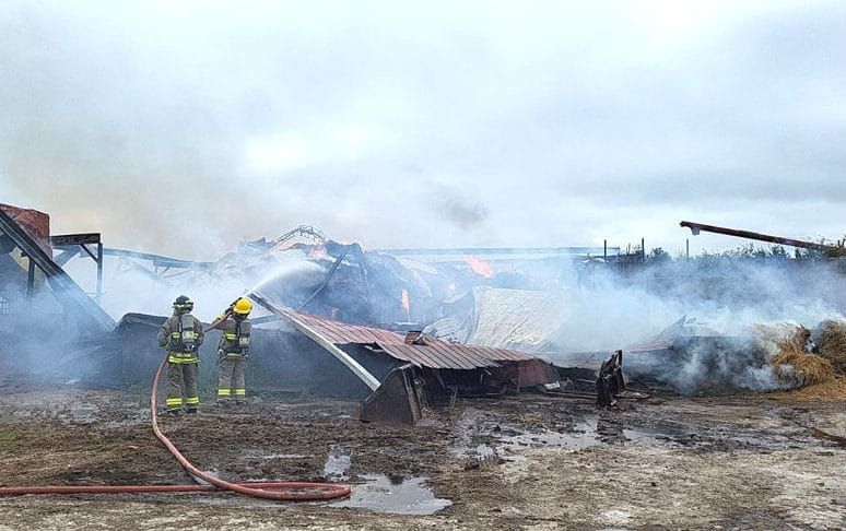 About 200 cattle perish in weekend barn fire near Conn post image