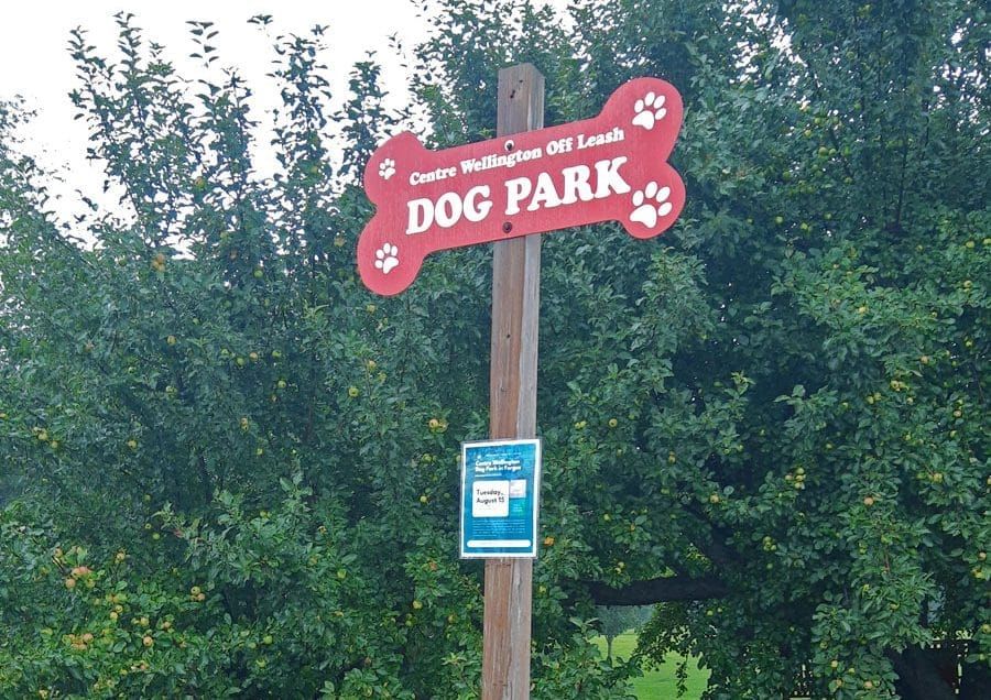 Don't change our dog park, residents urge post image