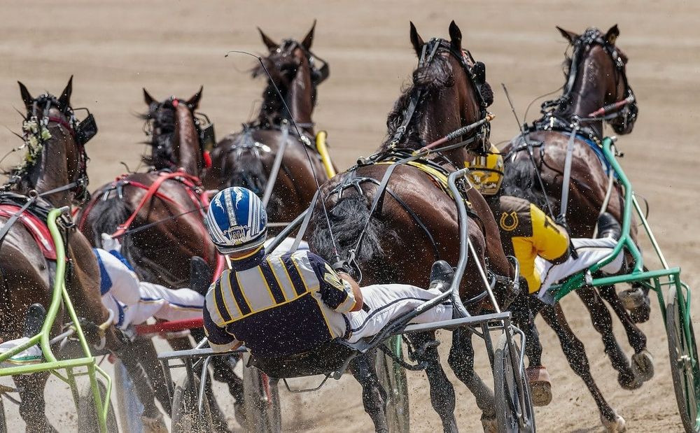 Commission suspends trainer, issues $11,000 fine for ‘suspicious death’ of racehorse post image