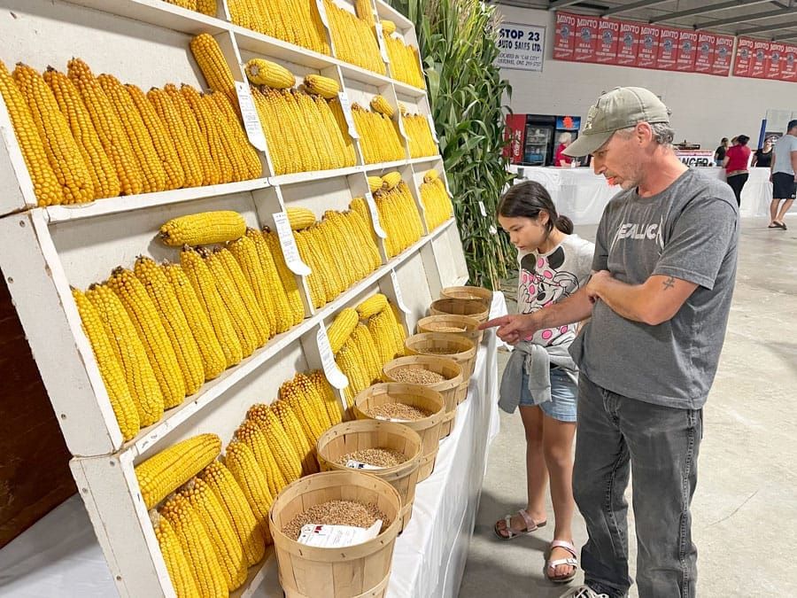 ‘Around the World in Three Fair Days’ theme of Harriston-Minto Fall Fair post image