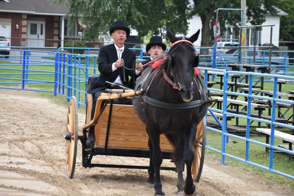 Arthur Fall Fair showcases agriculture, rural lifestyles post image