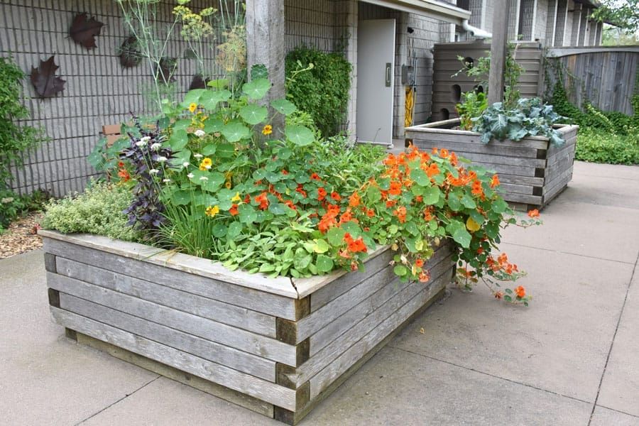 Marian Brennan Enabling Garden is in full bloom post image