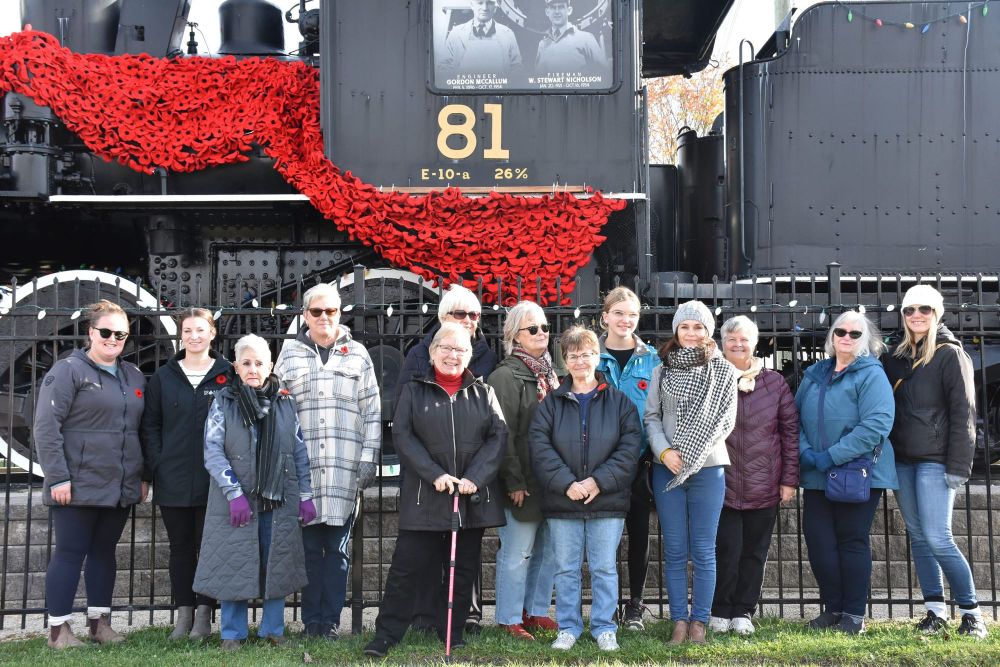 Poppy Project unveiled in Palmerston post image
