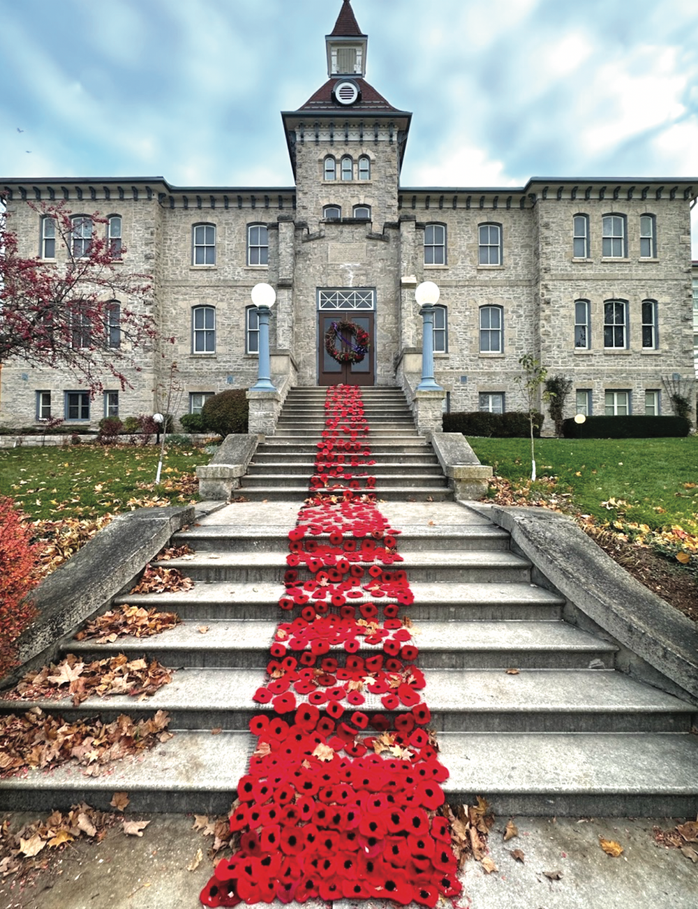 St. John’s poppy project still going strong post image