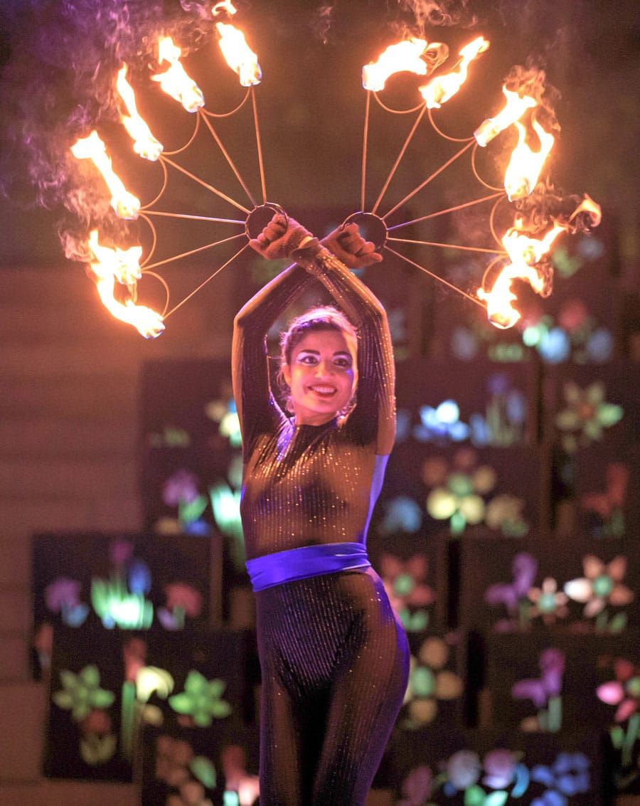 Fire and Ice Family New Year’s Eve celebration planned in Palmerston post image