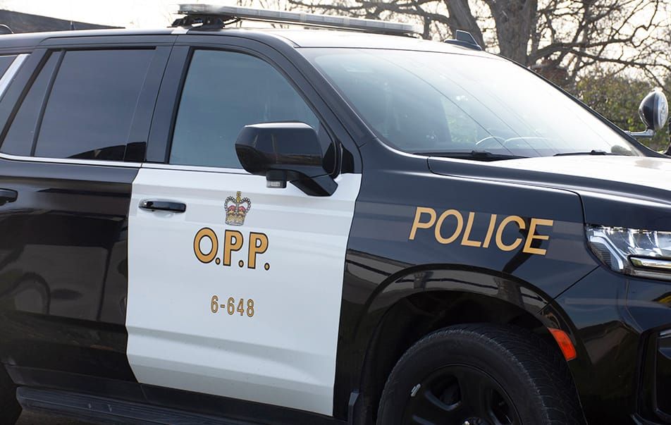 Report of armed person near Erin school 'unfounded': police post image