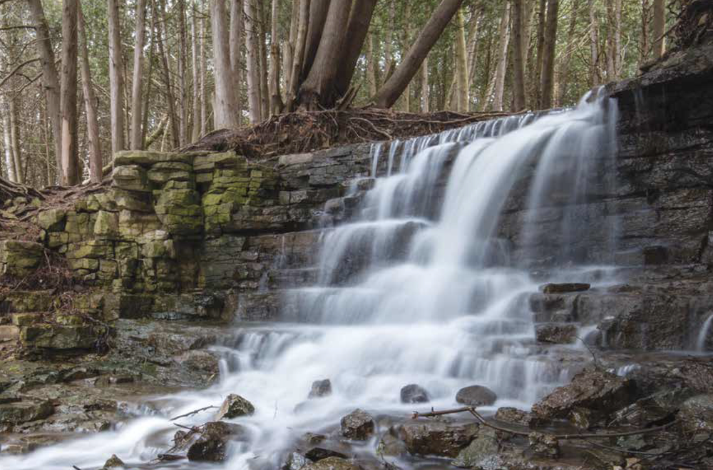 Fergus featured in RBC 2024 calendar post image