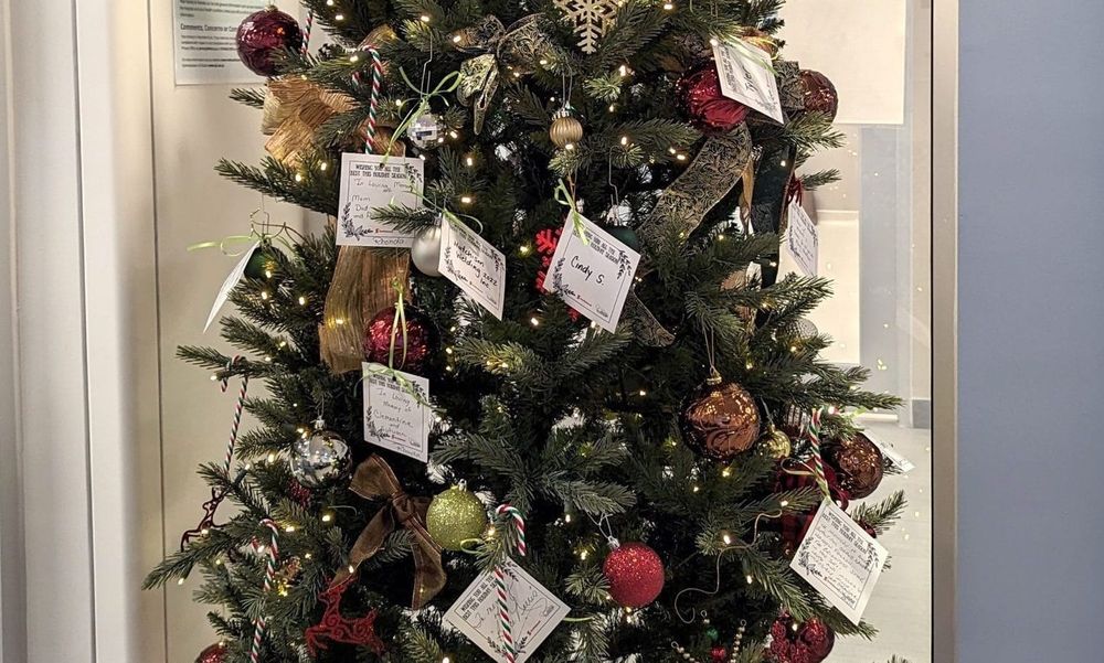 ‘Light Up Louise Marshall Hospital’ fundraiser to bring holiday cheer post image