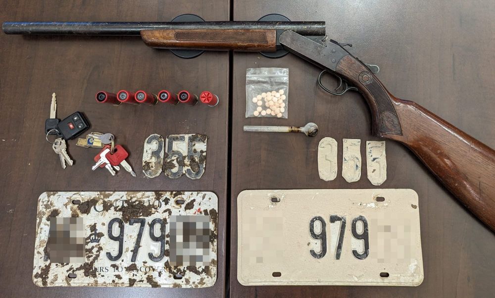 Welland man faces weapon, driving charges after vehicle stolen post image