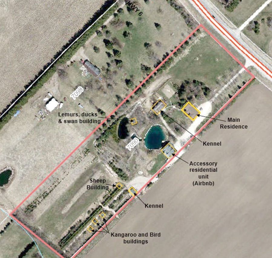 Questions raised over zoning proposal for kennel, Airbnb in Mapleton post image