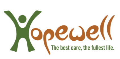 Developmental services in danger of ‘complete collapse’ without funding increase: Hopewell post image