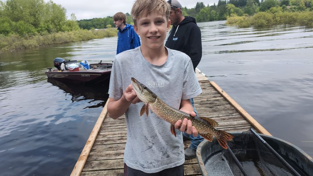 Belwood Lions host annual Pike and Walleye Derby post image