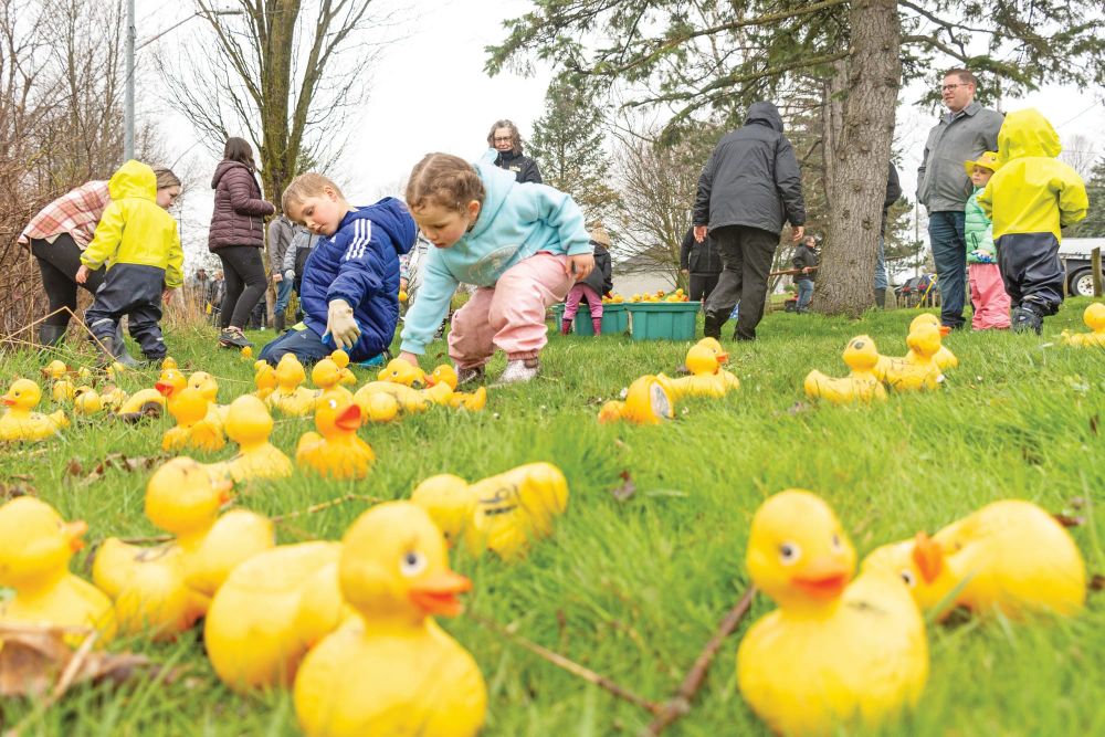 Trees and Quackers event to raise money for park maintenance post image