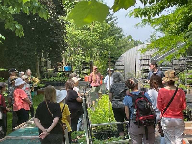 Pollinator Festival set for June 15 at Bee Sweet Nature plant nursery post image