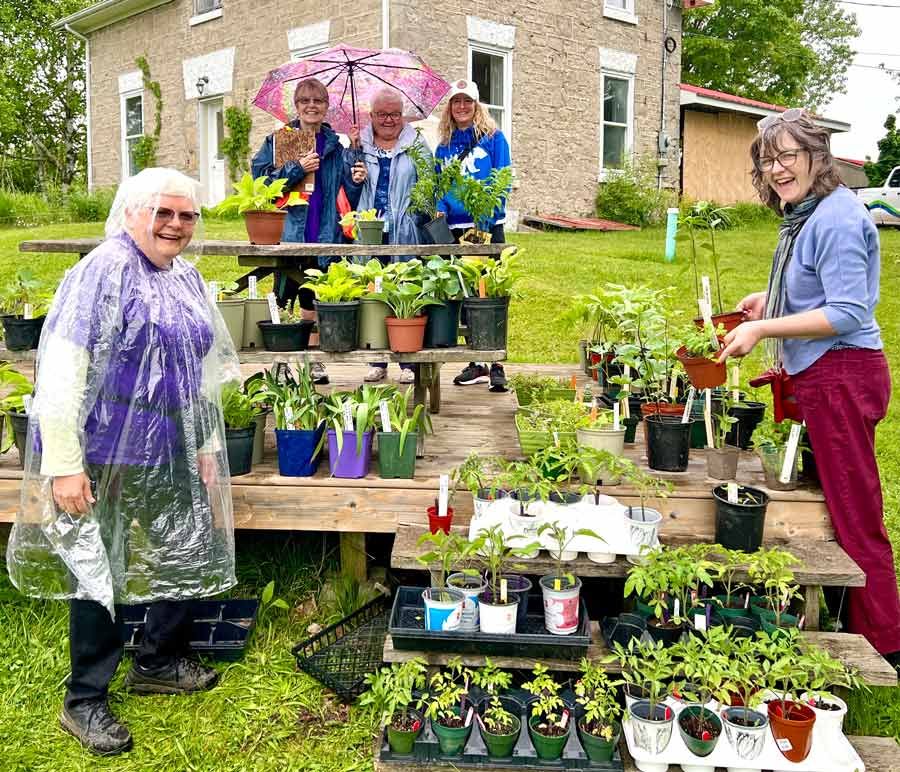 Fergus and District Horticultural Society's annual plant sale post image