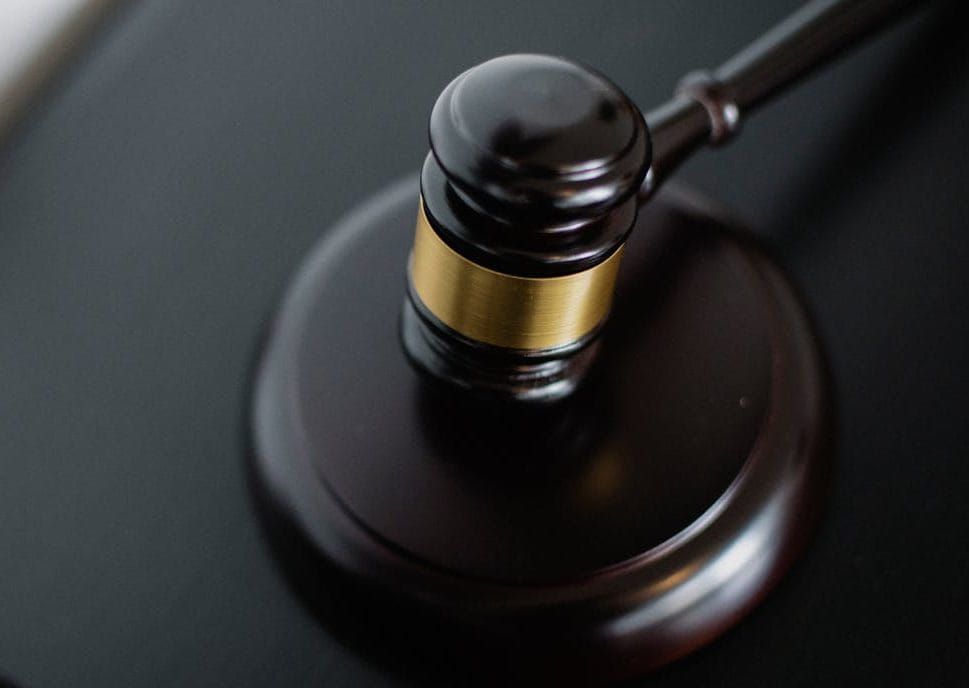 Wellington North man fined, on probation for livestock bylaw offences post image