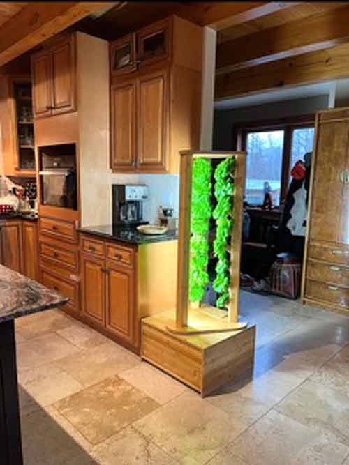 Grow vegetables out of thin air? post image