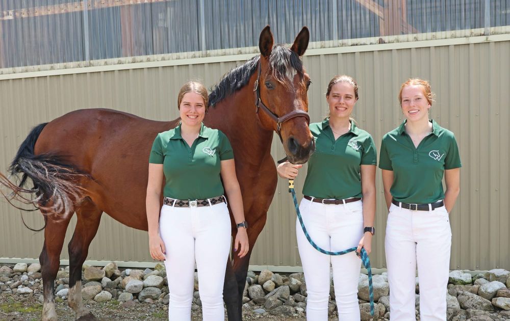 Local riders to showcase horse-breeding knowledge at Denmark competition post image